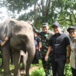 Way Kambas di Mata Presiden, DPRD Lampung Siap Kawal Konservasi