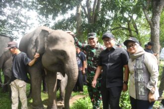 Way Kambas di Mata Presiden, DPRD Lampung Siap Kawal Konservasi