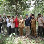 Potensi Karbon Way Kambas Menarik Minat Investor Global