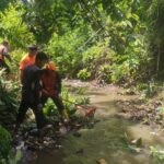 Tim Reaksi Cepat BPBD Bersihkan Pohon Penghambat Sungai di Bandar Lampung