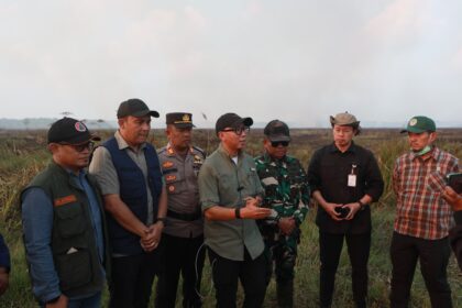 Kebakaran Lampung Timur Munculkan Titik Api Baru, Gubernur Mirza Pastikan Penanganan Berlanjut