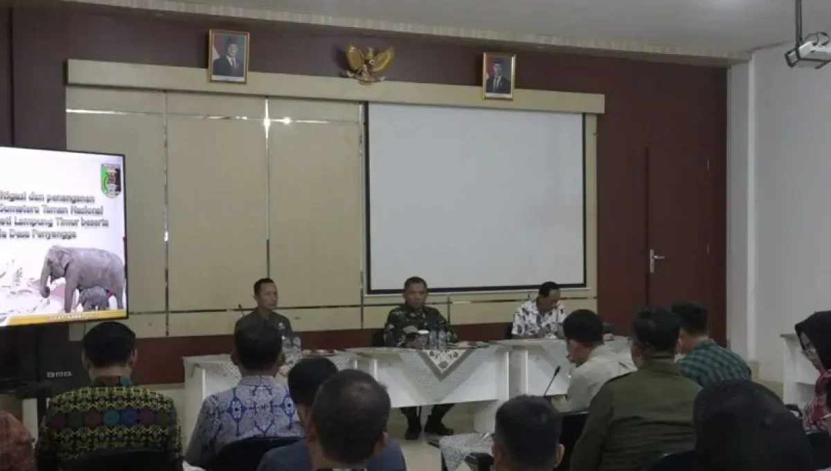 Infrastruktur Mitigasi Gajah Way Kambas Dikebut, Pembangunan Capai 82 Persen