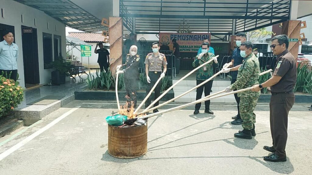 Kejari Lamteng Musnahkan Barang Bukti, Tegaskan Komitmen Penegakan Hukum