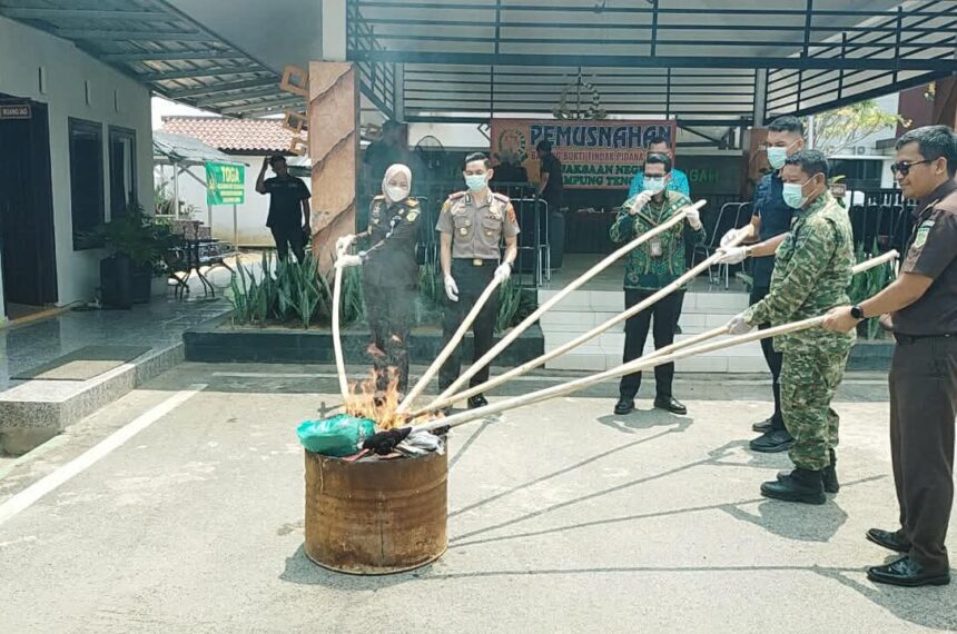 Kejari Lamteng Musnahkan Barang Bukti, Tegaskan Komitmen Penegakan Hukum